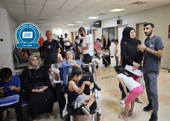 Problemanê Nêweşxaneyê Domanan ê Amedî her ke şono zêdîyeno