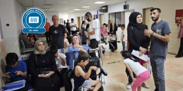 Problemanê Nêweşxaneyê Domanan ê Amedî her ke şono zêdîyeno