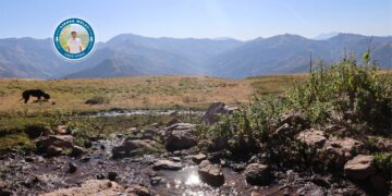 ‘Eke hênî ziwa bibo, do cuya ma zî biqedîya’