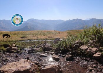 ‘Kanî ziwa bibe jiyana me jî dê xelas bibe’