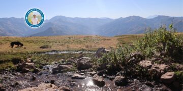 ‘Kanî ziwa bibe jiyana me jî dê xelas bibe’