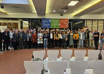 Siyamed Sîpan: Xebatên lobyê girîng in