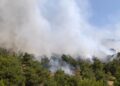 Li Semsûrê agir bi daristanê ket, agir li qadeke berfireh belav bû
