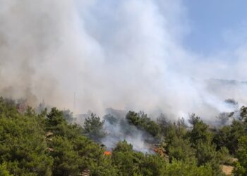 Li Semsûrê agir bi daristanê ket, agir li qadeke berfireh belav bû