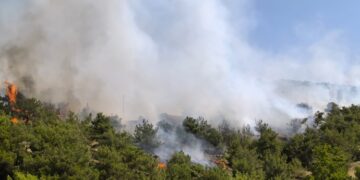 Li Semsûrê agir bi daristanê ket, agir li qadeke berfireh belav bû