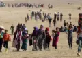 Komkujiya Şengalê 11 sal li pey xwe hişt