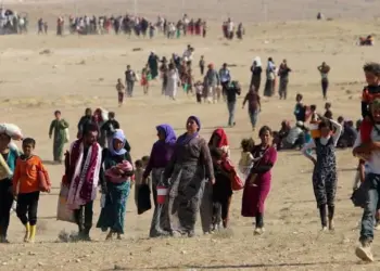 Komkujiya Şengalê 11 sal li pey xwe hişt