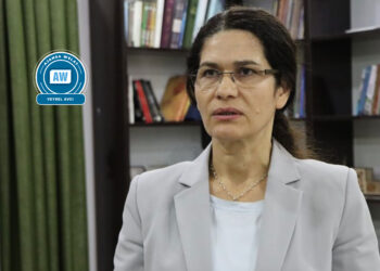 Îlham Ehmed: Di mijara entegrasyonê de pirsgirêkên cîddî hene