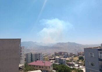 Li çiyayê Cûdî şewat derket