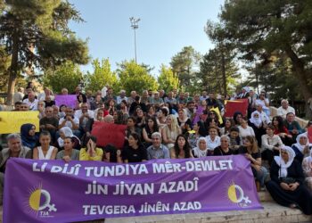 TJA li dijî tundiya mêr meşiya