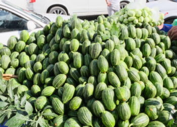 Tableyanê ecûran kuçeyanê Sûrî xemilnayî