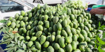 Tableyanê ecûran kuçeyanê Sûrî xemilnayî