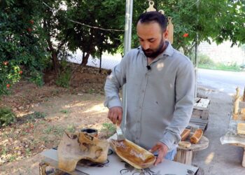 Bi pîşeya neqşkerdişê daran çîyanê balkêşan virazeno