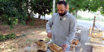 Bi pîşeya neqşkerdişê daran çîyanê balkêşan virazeno