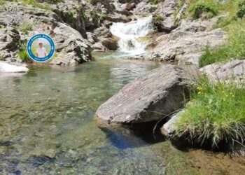 ‘Ma wazenî şarê ma bêro ewta veng bido vengê ma’