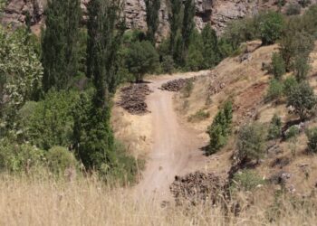 Baroyê Şirnexî vera birnayîşê daran dest bi komkerdişê îmzayan keno