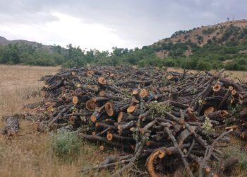 Platforma Ekolojiyê dê li dijî talankirina xwezayê îmzeyan kom bike