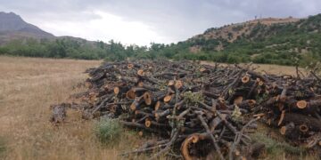 Platforma Ekolojiyê dê li dijî talankirina xwezayê îmzeyan kom bike