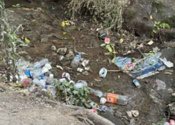 Nê Çemê Sîyayî yo, şermê sîyayî yo!