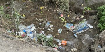 Nê Çemê Sîyayî yo, şermê sîyayî yo!