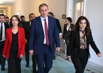 Kurdî gaman erzenê, dewleta tirke seyr kena