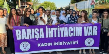 Cinî seba ‘Rayîrşîyayîşê Aştî’ Anqara de yê