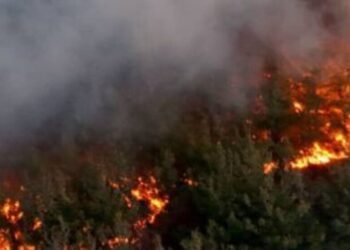 KCK: Şewatî ganî bi têkoşînê hemparî bêrê hewnakerdene