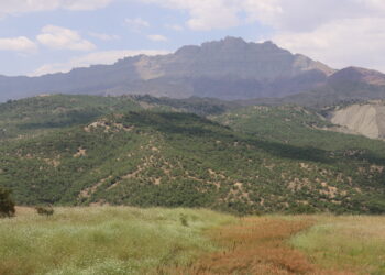 Li Şirnexê ji bo sivîlan ketina daristanan hat qedexekirin