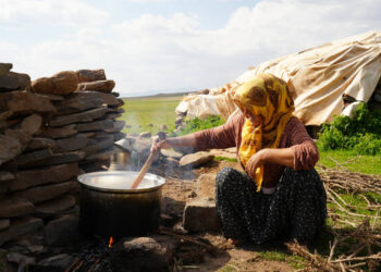 Koçerî mîyanê meseleyanê ziwatî û krîzê ekonomîkî de yê