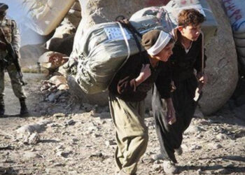 Domananê kolberî Kurdistan de ameyoxê xo ser o rayîr kewenê