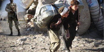 Domananê kolberî Kurdistan de ameyoxê xo ser o rayîr kewenê