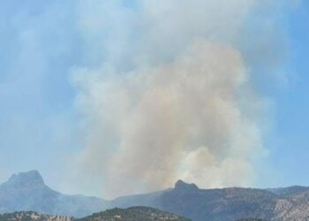 Koyê Cûdî de şewat vejîya