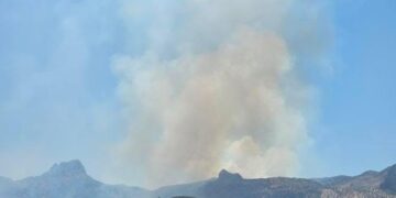 Koyê Cûdî de şewat vejîya