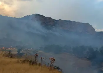 Li Licê daristan şewitî