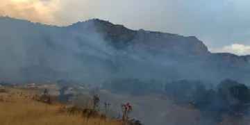 Li Licê daristan şewitî