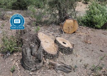 Em xwezayê neparêzin xweza jî me naparêze