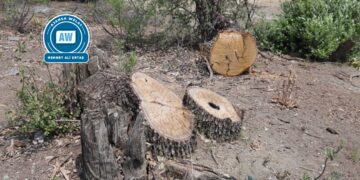 Em xwezayê neparêzin xweza jî me naparêze