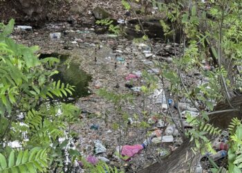 Ne Çemê Reş e, şerma reş e!