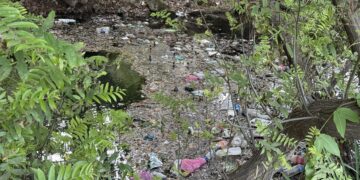 Ne Çemê Reş e, şerma reş e!