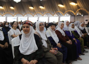 Keskîn Bayindir: Em bi têkoşîna peqrewanan hatin vir