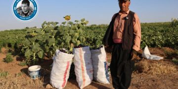 Keda çandiniyê pere nake