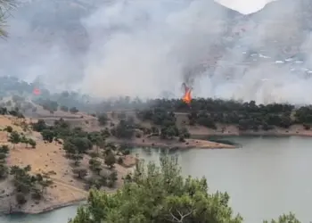 Birê Semsûrî de adir vejîya