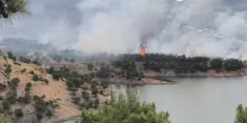 Birê Semsûrî de adir vejîya