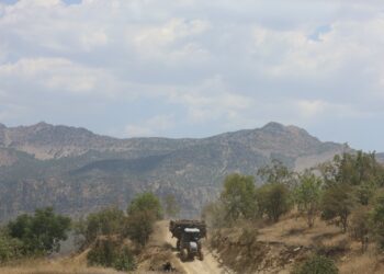 Cerdevanan li gundê Omyanûs ê Sêrtê jî dest bi birîna daran kirin