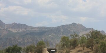 Cerdevanan li gundê Omyanûs ê Sêrtê jî dest bi birîna daran kirin