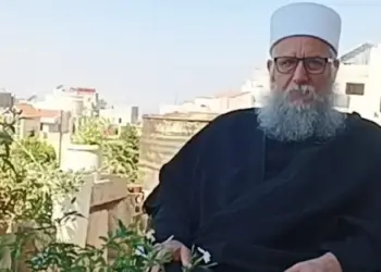 Verfekê Durzîyan: Waştişê ma rayberîyêka nêmerkezî ya