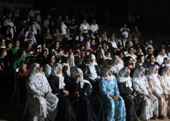 Xeylê bajaran de têhetameyîşê Aştîye û Komelê Demokratîkî