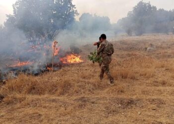 10 donim zevî li Qeredaxê şewitî