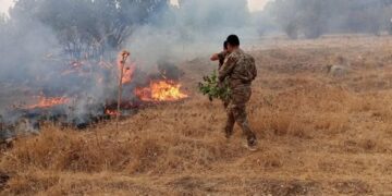 10 donim zevî li Qeredaxê şewitî