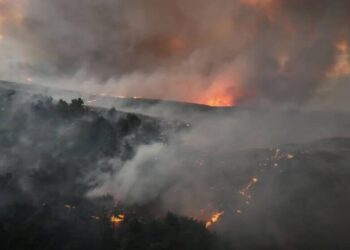 KJKê banga têkoşîna ekolojîk kir